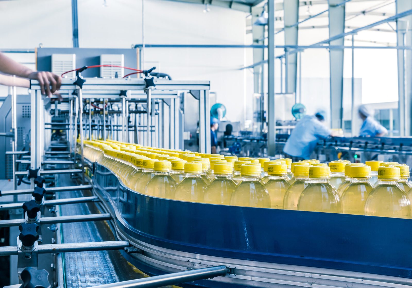 Food and beverage processing